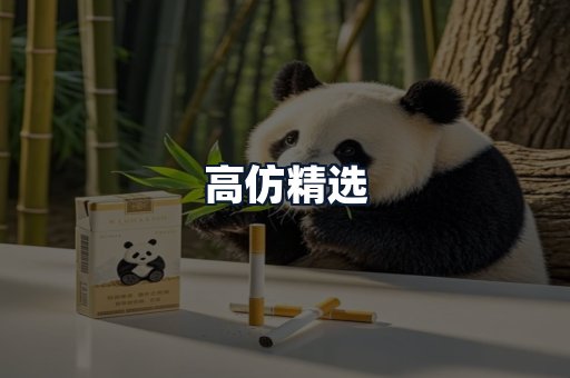 高仿精选